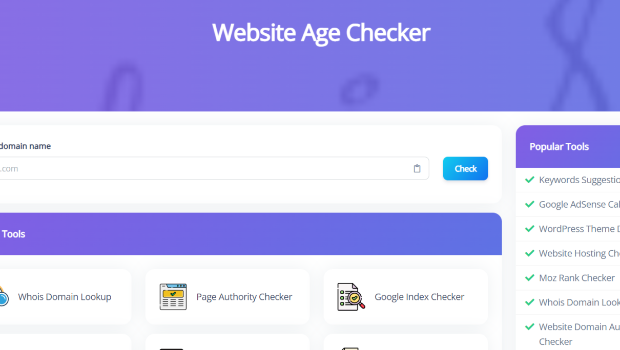 Domain Age Checker